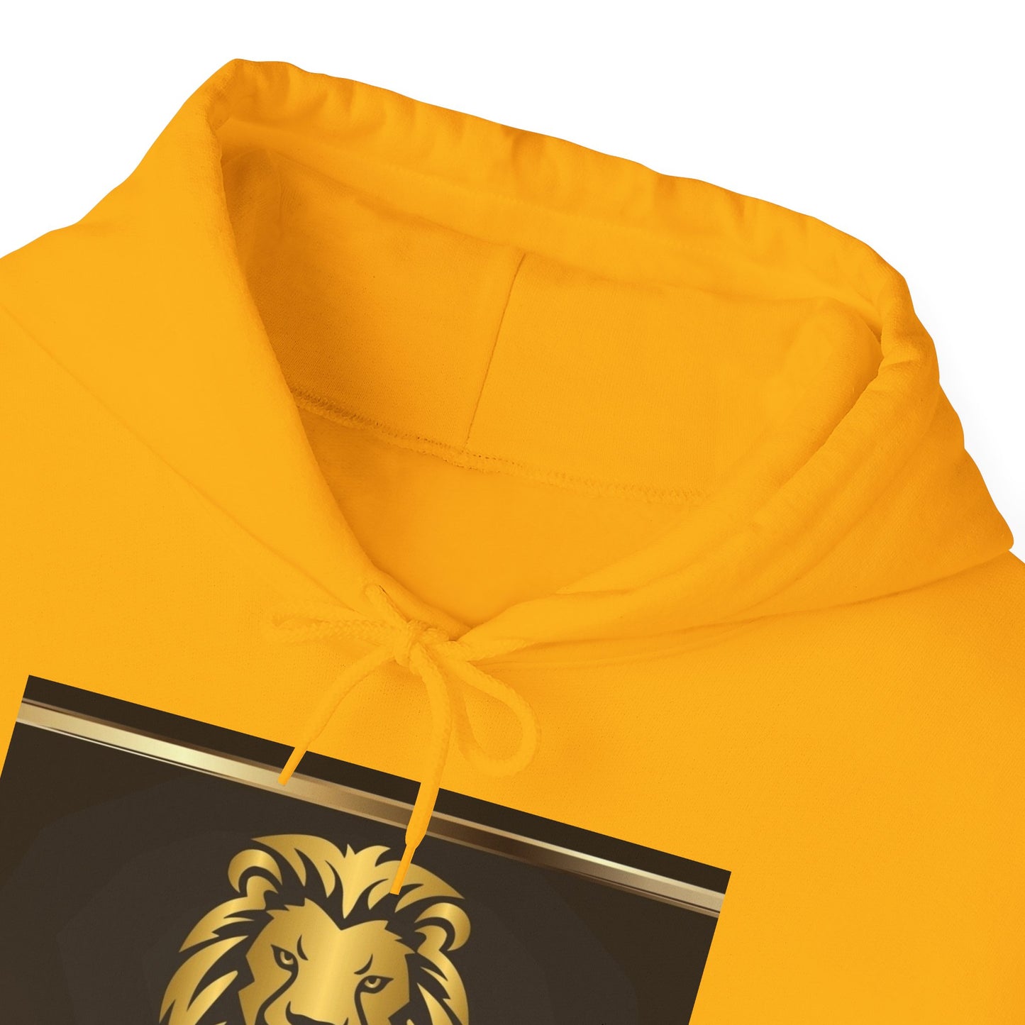 Project X Collection: Shalom Hoodie - Available in 6 colors