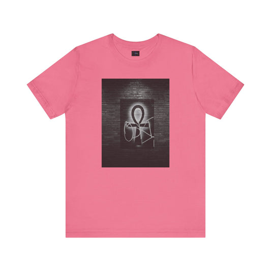 Odinology Collection: B*tch Graphic Tee- Funny Quote Tee- "I looked into the depths of her soul and said... Bitch" - Available in 12 colors